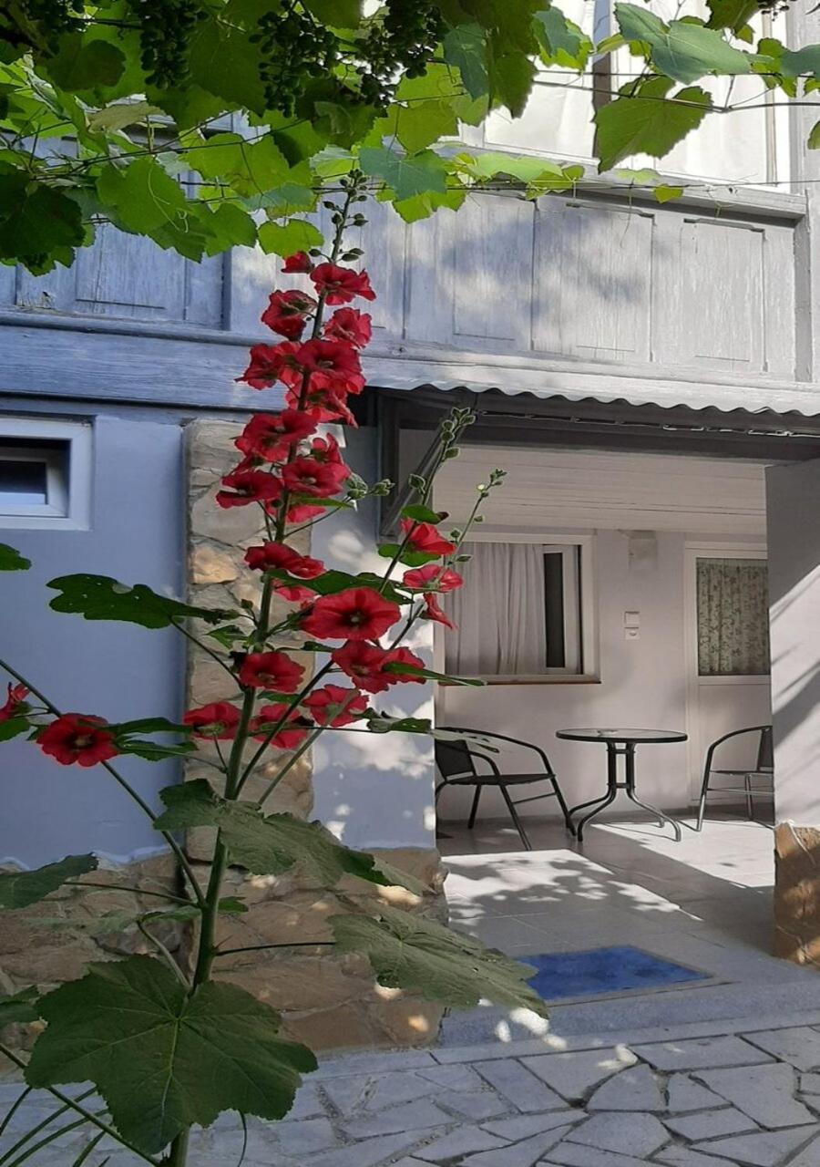 Beso-House Leilighet Borjomi Eksteriør bilde